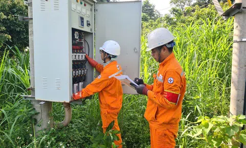 Phú Thọ: Điện lực Tam Đảo triển khai giải pháp tiết kiệm điện