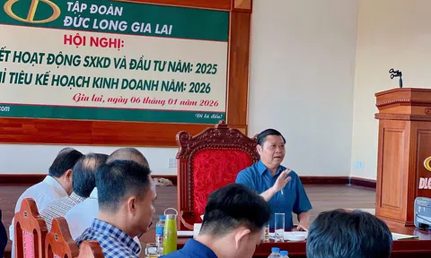 Đức Long Gia Lai: Quyết tâm xóa sạch nợ xấu, đột phá vươn lên từ “đôi cánh” năng lượng và hạ tầng