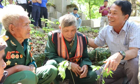 Quảng Ngãi: Trao tặng sâm giống Ngọc Linh cho thanh niên khởi nghiệp
