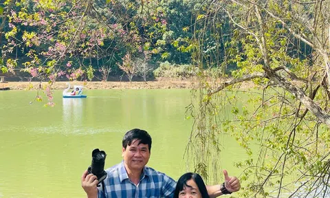 Nhớ mùa hoa dã quỳ