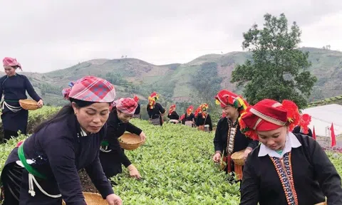 Lào Cai: Diện mạo vùng đồng bào dân tộc thiểu số đang đổi thay