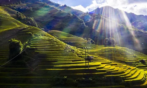 Lào Cai: Từ đồi chè Shan tuyết, ruộng bậc thang hấp dẫn du khách đến phát triển du lịch cộng đồng