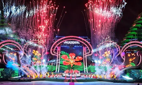 Hải Phòng sẽ tổ chức Lễ hội Hoa Phượng Đỏ 2026 vào tối 8/5