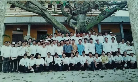 Trở về sau hai mươi năm: Một hành trình ký ức của 12A
