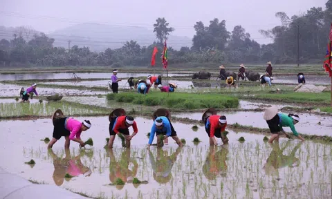 Phú Thọ: Phát huy nguồn lực văn hóa người Mường trong phát triển công nghiệp văn hóa