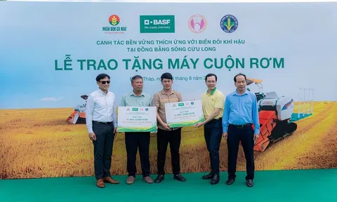 Phân bón Cà Mau mở lối canh tác lúa thích ứng biến đổi khí hậu