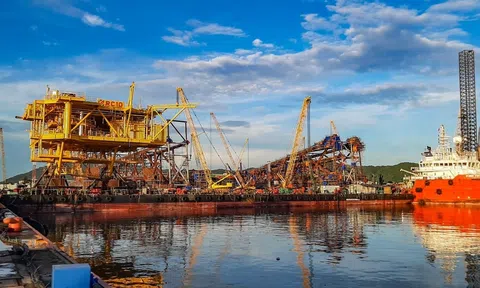 Petrovietnam: Làm chủ năng lực tổng thầu EPC công trình dầu khí ngoài khơi