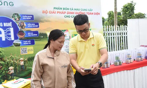 Nâng chất Robusta Việt: Phân bón Cà Mau: Đưa công nghệ số vào quản lý canh tác tại vùng trồng