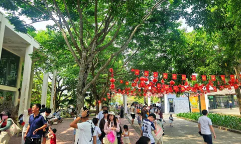 Nghệ An thu hút du khách đến tham quan, nghỉ dưỡng