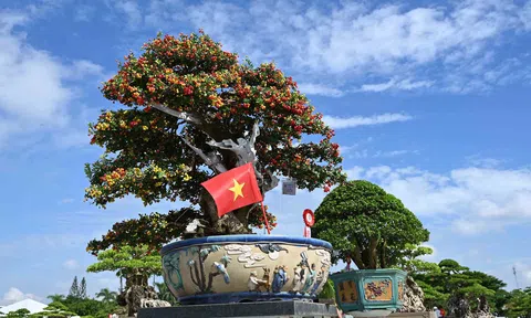 Quảng Ngãi: Khai mạc Triển lãm - Hội chợ Sinh vật cảnh mở rộng năm 2026