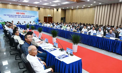 Quảng Ngãi: Phát huy lợi thế biển-rừng, tạo động lực tăng trưởng giai đoạn mới