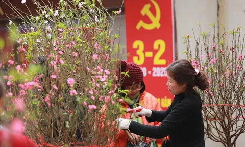 Ngày 1/2: Bắc Bộ và Bắc Trung Bộ rét đậm, biển động mạnh