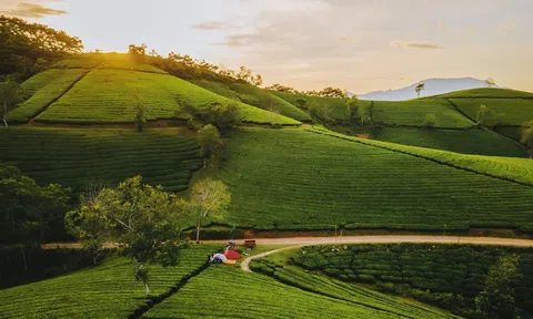 Phú Thọ: Long Cốc - “Bồng lai tiên cảnh mỗi sớm mai” - thu hút du khách