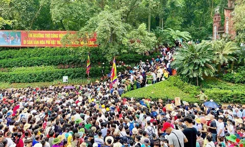 Phú Thọ: Sở Văn hóa Thể thao và Du lịch triển khai nhiệm vụ trọng tâm quý II/2026