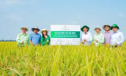 Góc nhìn văn hoá: “Canh nông vi bản” trong thời đại mới - Từ nền tảng truyền thống đến động lực phát triển bền vững