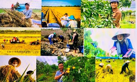 Góc nhìn văn hoá: “Chuyển đổi xanh, chuyển đổi số” – Phát triển nền nông nghiệp sinh thái hiệu quả