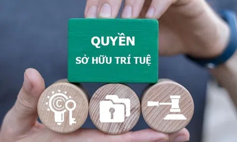 Theo dòng thời sự: Việt Nam mạnh tay dẹp nạn xâm phạm sở hữu trí tuệ