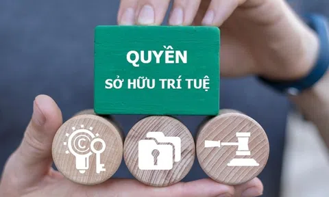 Theo dòng thời sự: Bảo vệ bản quyền báo chí là bảo vệ nền báo chí chuyên nghiệp