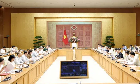 Thực hiện Công điện 38: Gian nan 'cuộc chiến bản quyền'
