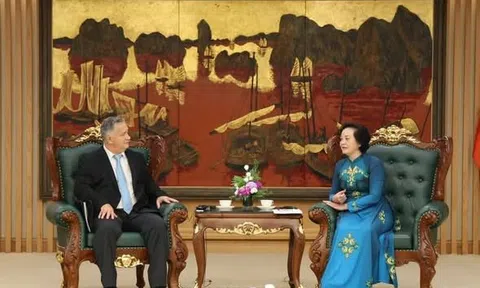 Phó Thủ tướng Phạm Thị Thanh Trà tiếp lãnh đạo Dư án "Sáng kiến tìm kiếm người Việt Nam mất tích trong chiến tranh"