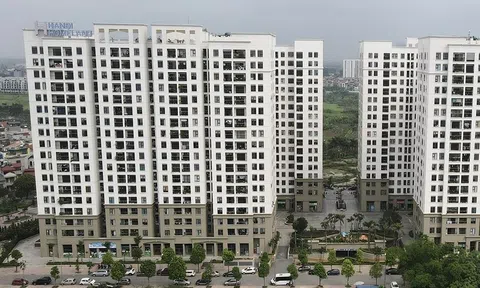 Góc nhìn văn hoá: Nhà ở cho thuê - Trụ cột mới của an cư đô thị