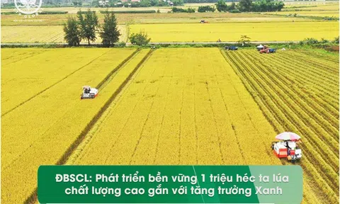 Góc nhìn văn hoá: Tìm lời giải sản xuất lúa phát thải thấp, chống chịu tốt với biến đổi khí hậu