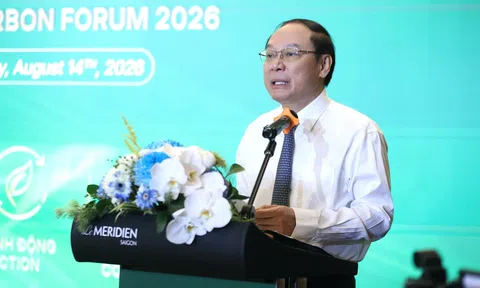 Góc nhìn văn hoá: Thị trường carbon Việt Nam – “Từ chính sách đến hành động”