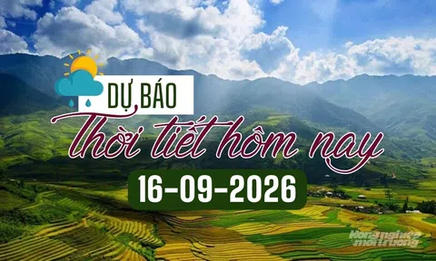 Ngày 16/9: Bắc Bộ, Thanh Hóa mưa to, có nơi trên 250 mm