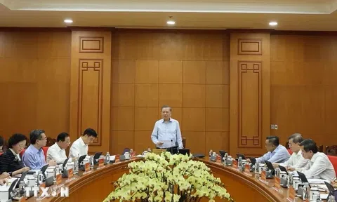 Góc nhìn văn hoá: Quản trị cán bộ bằng dữ liệu, trọng dụng bằng thực tài
