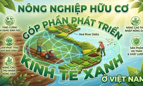 Góc nhìn văn hoá: Phát triển nông nghiệp hữu cơ, sinh thái - Kiến tạo niềm tin thị trường