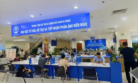 Thời hạn chót nộp thuế đất phi nông nghiệp là 2/11, người dân chung cư vội vã kê khai