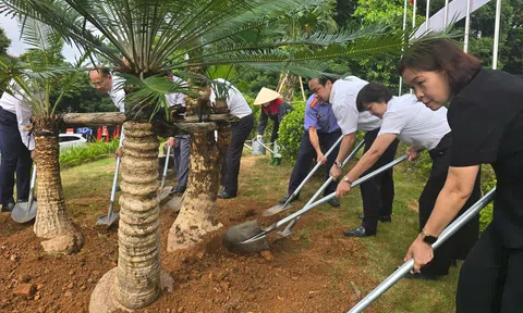 Phú Thọ" Dâng hương tưởng niệm Chủ tịch Hồ Chí Minh, phát động chương trình “Đền Hùng xanh – làm theo lời Bác”