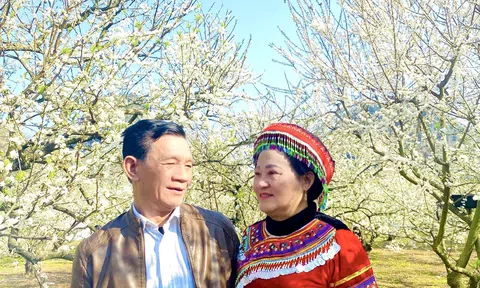 Hạnh phúc là sự thấu hiểu và ý thức vun đắp mỗi ngày