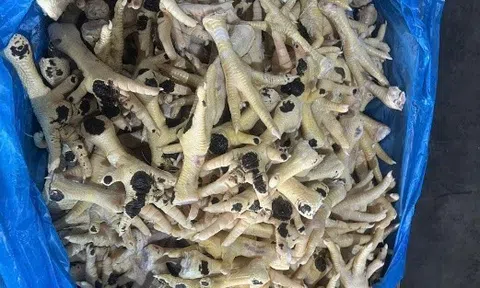 Gón nhìn văn hoá: Hơn 10.000 tấn chân gà nhập lậu - Không chỉ là một vụ án kinh tế