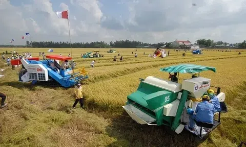 Góc nhìn văn hoá: Sống “thuận thiên” - Chìa khóa phát triển bền vững Đồng bằng sông Cửu Long