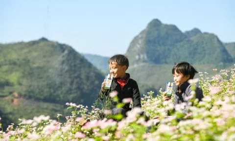 Vinamilk & Quỹ sữa Vươn cao Việt Nam năm 2021 trao tặng 1,7 triệu ly sữa hỗ trợ trẻ em khó khăn giữa dịch Covid-19