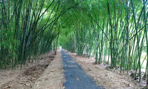 Tản mạn nhà nông