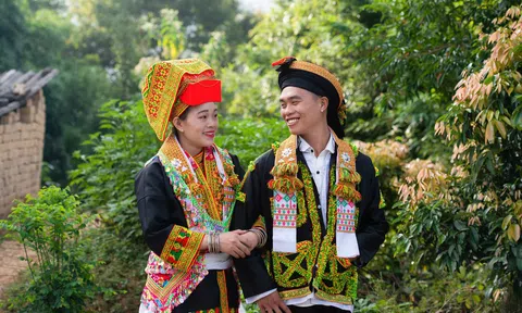 Không được bắn nó!