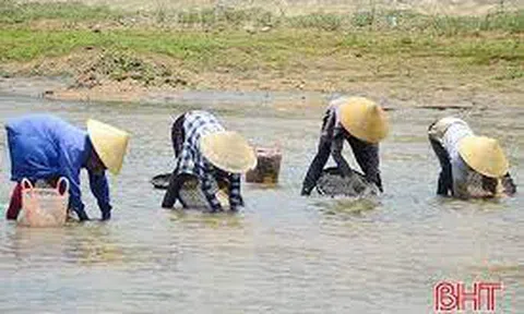 Bãi giữa quê tôi