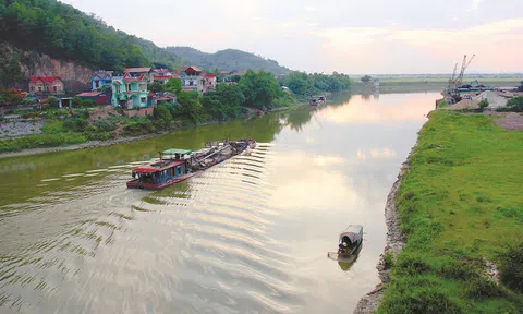Đinh Tiến Hải, gió lùa đầy vai...