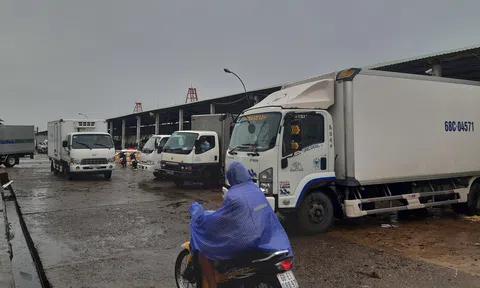 Vận tải hàng hoá vừa đảm bảo phòng, chống dịch bệnh Covid - 19 vừa đảm bảo lưu thông hàng hoá