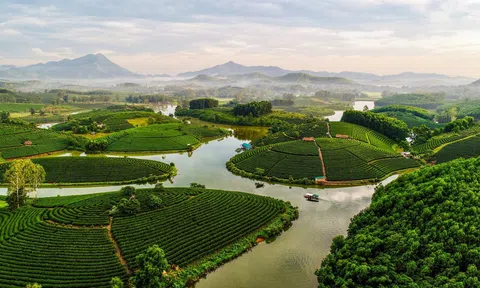 Chè Bạng