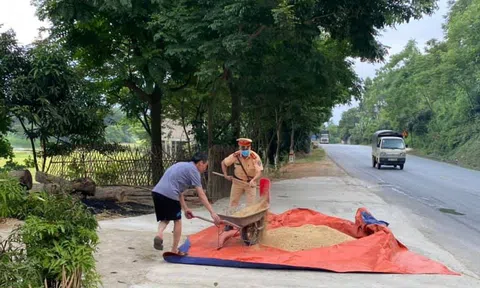 Tuyên Quang: CSGT giúp dân gom lúa tránh mưa