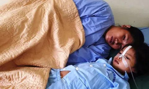 Nghi ăn phải nấm độc, một gia đình 5 người ở Hà Giang phải nhập viện cấp cứu