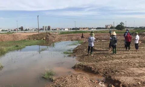 Vĩnh Phúc: Vĩnh Tường sẽ giải phóng mặt bằng phần diện tích còn lại để thực hiện dự án Khu đô thị Tứ Trưng