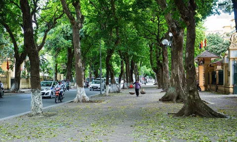 Mình về nơi phố hội