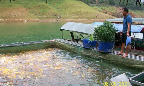 Tuyên Quang: Huyện Lâm Bình phát triển nghề nuôi trồng thủy sản bền vững