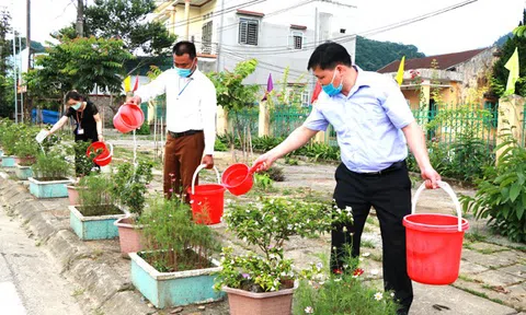 Hà Giang: Xây dựng công sở xanh - sạch - đẹp