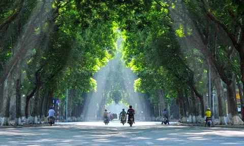 Mình chào buổi sáng