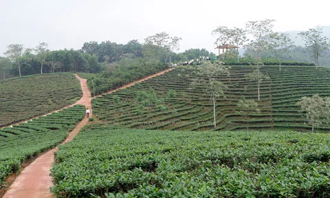 Thái Nguyên: Phát triển du lịch cộng đồng ở Định Hóa